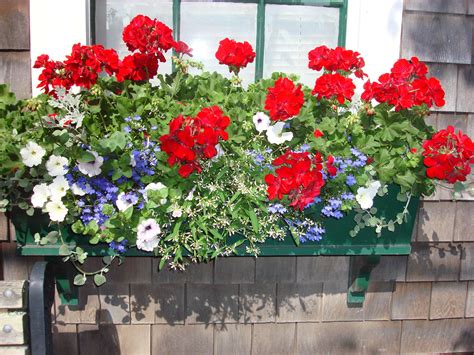 Maybe you would like to learn more about one of these? Flower Boxes - red, white and blue... | Flower boxes ...