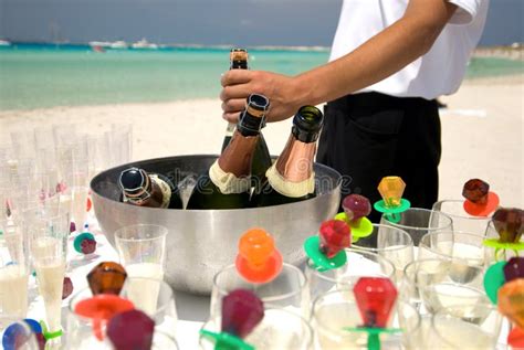 champagne at the beach stock image image of beach hibiscus 12222569