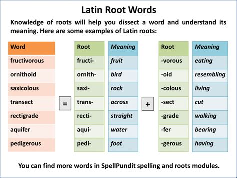 Latin Root Words Root Meaning Parts Of