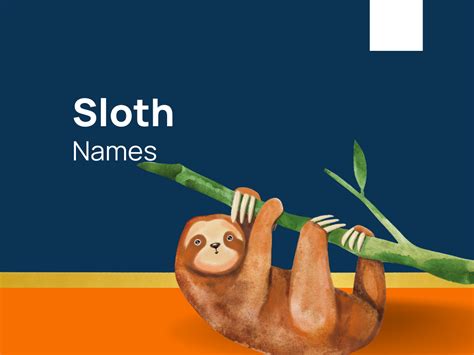 1240 Sloth Names For Beloved Lazy Companion Generator