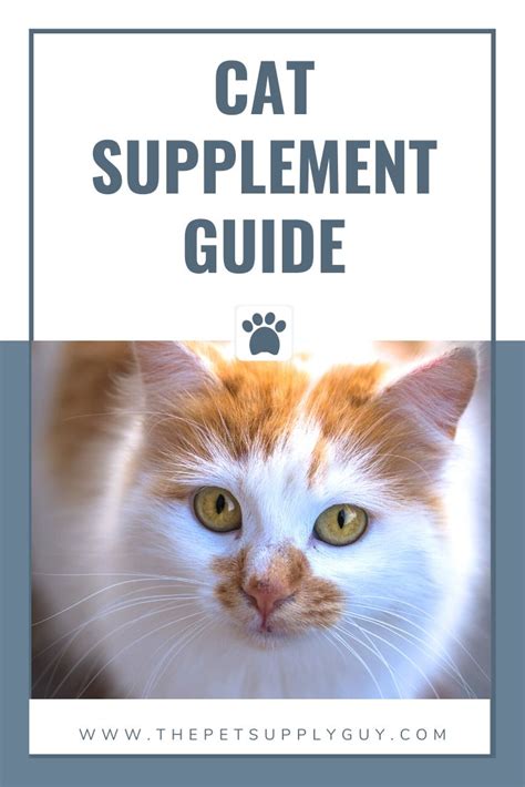 Cats need taurine in their food to prevent blindness and certain kinds of heart disease. Best Taurine Supplement for Cats in 2020 | Pets, Cats, Cat ...