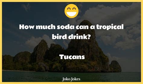 75 Tropical Jokes And Funny Puns Jokojokes