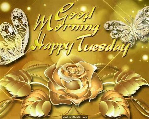 Good Morning Happy Tuesday Gold Rose Image Quote Pictures Photos And