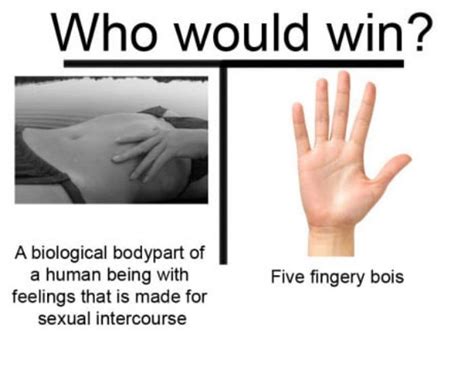 Who Would Win Meme Others