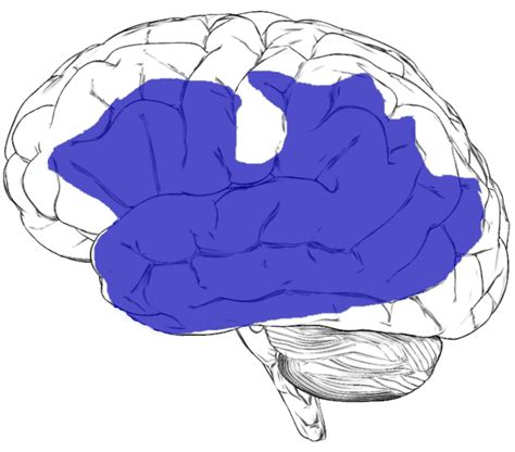 Veja como a esposa entendeu que algo estava errado com o cérebro do marido e assim como o psiquiatra, percebeu que deveria existir alteração estrutural. afasia progressiva primária - Primary progressive aphasia ...