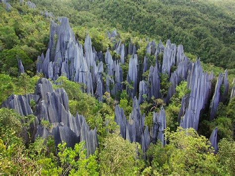 Experience walking on the world's longest canopy walkway, visiting the aborigine village, trekking under rainforest canopy, climbing the highest mountain in. Taman Nasional Gunung Mulu Malaysia