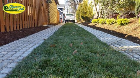 This can help avoid runoff and helps return water back to the soil instead of into a storm drain. 1000+ images about Drivable Grass on Pinterest | Walkways, Do it yourself and Bermudas