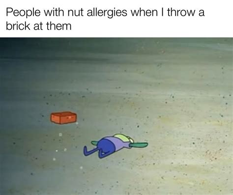 The Best Allergies Memes Memedroid