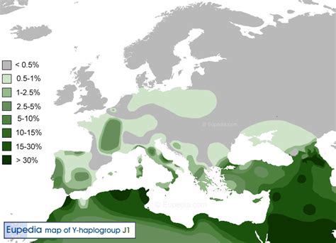 The frequency of r1b1 is highest along the atlantic coast of europe (up to 90% of. Гаплогруппа J1 Y-ДНК человека на сайте Игоря Гаршина