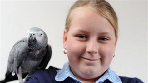 Missing Parrot Scarlet Lands On Owner Shannon Underhill At Bridgend