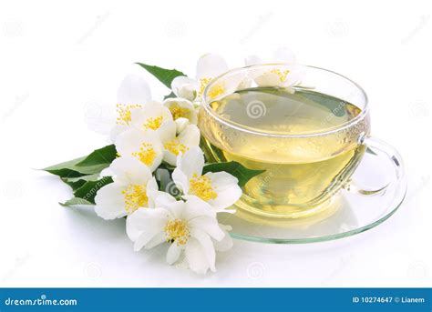 Jasmine Tea Stock Image Image Of Teacup Blooming Medicinal 10274647