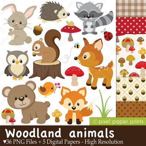 Woodland Animals Clip Art And Digital Paper Set Etsy Woodland