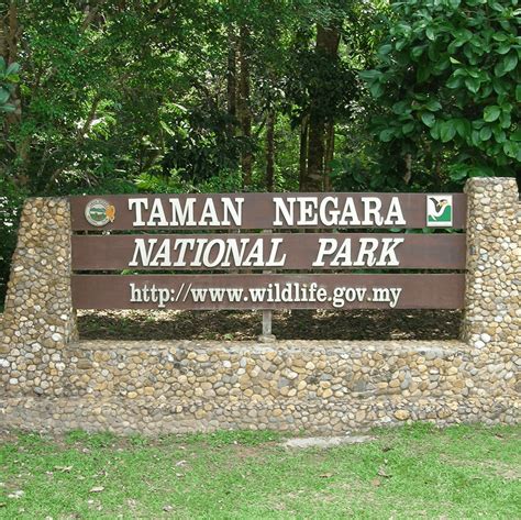 Taman Negara Pahang National Park Ultimate Travel Guide Nomadic Malaysia