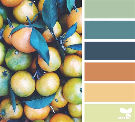 Color Inspiration Color Pick Design Seeds Bloglovin