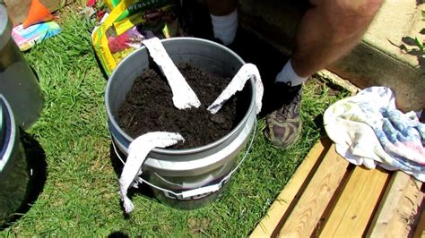 Maybe you would like to learn more about one of these? TRG 2012: 2 of 2: Filling & Planting the Self Wicking ...