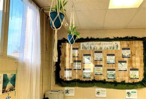 Nature Themed Classroom Decor A Calming And Plant Filled Classroom