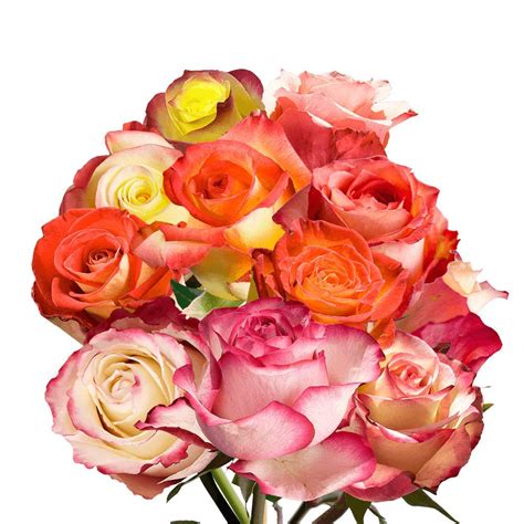 Globalrose 50 Fresh Cut Birthday Multicolor Roses Fresh
