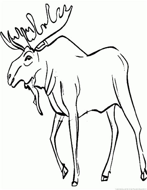 Moose Coloring Pages - Part 6