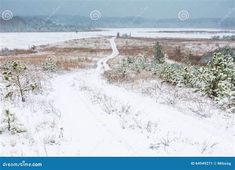 Winter Field Under Cloudy Gray Sky Stock Image Image Of Dark Beauty