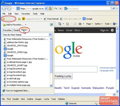 Ie Browsing History