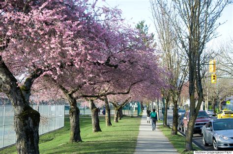 15 Canadian Places That Are Magical In Springtime