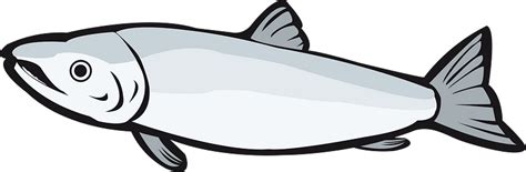 Salmon Clipart Free Download Transparent Png Creazilla