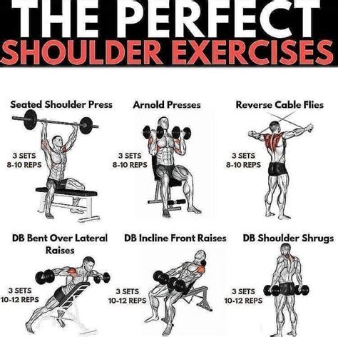 The 4 Best Exercises To Create 3d Shoulders Gymguidercom