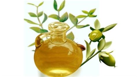Jojoba oil is used in various beauty products, including hair care, skin moisturizers, makeup removers and other health benefits. Benefits of jojoba oil for natural hair growth - VKool.com