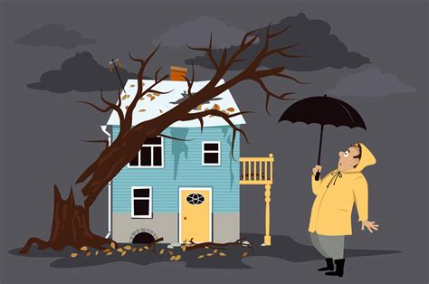 Whether it's a fire, heavy winds or a burglary. Homeowner's Insurance in Florida. What You Need To Know