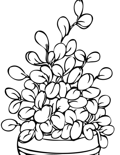Dibujos De Plantas Y Flores Para Colorear