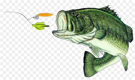 Images Of Cartoon Bass Fish