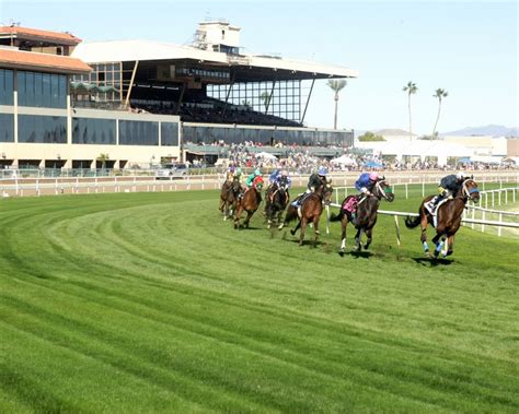 Watch turf paradise live racing stream from phoenix, az on november 2018. Videos/Photos - Turf Paradise