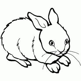Maestra de Infantil: Animales domésticos para colorear en 2020