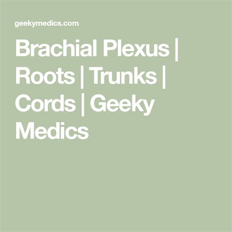 Brachial Plexus Roots Trunks Cords Geeky Medics Hand Anatomy