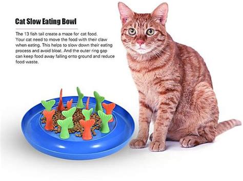 Some cats eat faster than others. Generic Cat Slow Feeder Bloat Stop Bowl Puzzle Food ...