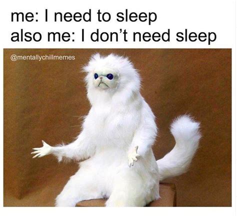 50 Funny Go To Sleep Memes For Sleep Deprived People