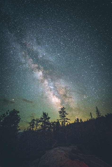 Silhouettes Of Trees Under Starry Sky Photo Free Galaxy Image On Unsplash