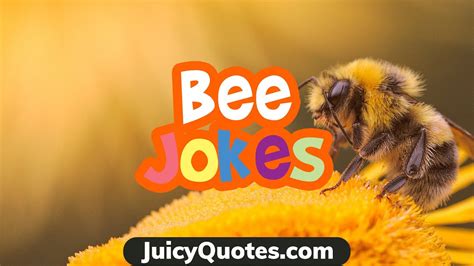 Silly Bee Jokes And Puns Get Some Laughter In Life Youtube
