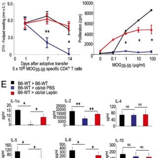 Leptin Deficiency Impairs Survival Of Autoreactive Cd T Cells In