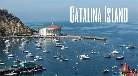 Guide To Catalina Island Enjoy Oc