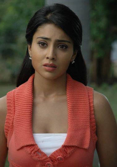 Hot Shriya Show Exclusive In Saree Actress Hot Photos Stills Pics