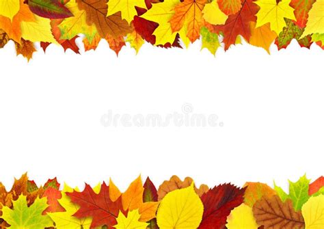 Colorful Autumn Leaves Border Stock Image Image Of Seasonal Fall