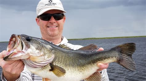 Big Female Bass Fishing On Lake Okeechobee Out Of Clewiston Fl