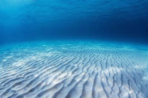 Underwater Shoot Of An Infinite Sandy Sea Bottom With Clear Blue Water