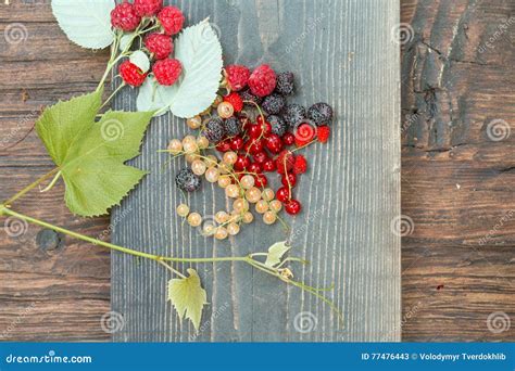 Wild Berries On Wooden Background Stock Image Image Of Berry Currant