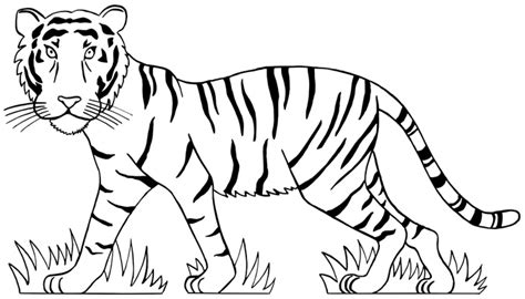 Gezichten kunnen moeilijk zijn om realistisch te tekenen. Kleurplaat Van Een Tijger Ausmalbild: Tiger Baby ...