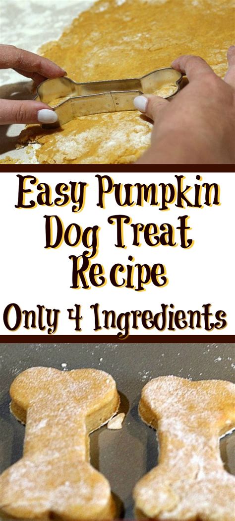 Easy Pumpkin Dog Treat Recipe Cook Eat Go