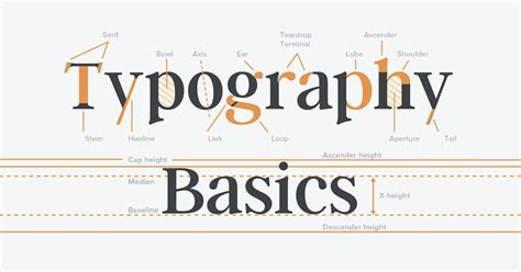Free Typography Basics Cheatsheet Anatomy Classification And Special