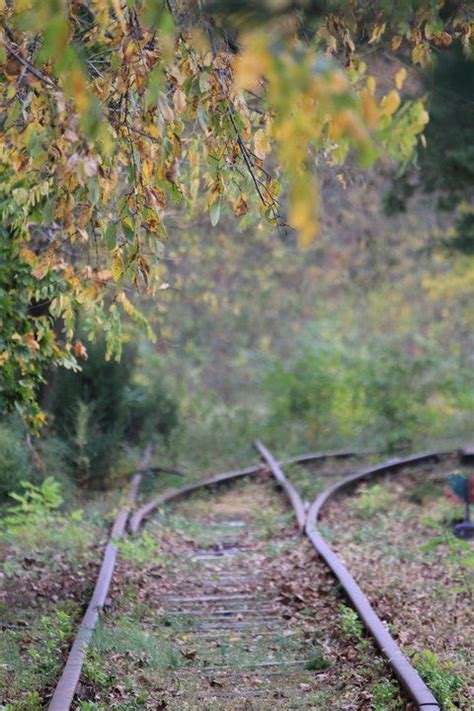 Pin By David Anastasi On Nature Reclaims Train Tracks Abandoned