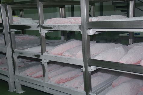 Thaw Frozen Fish Faster And Retain Quality Eurofish